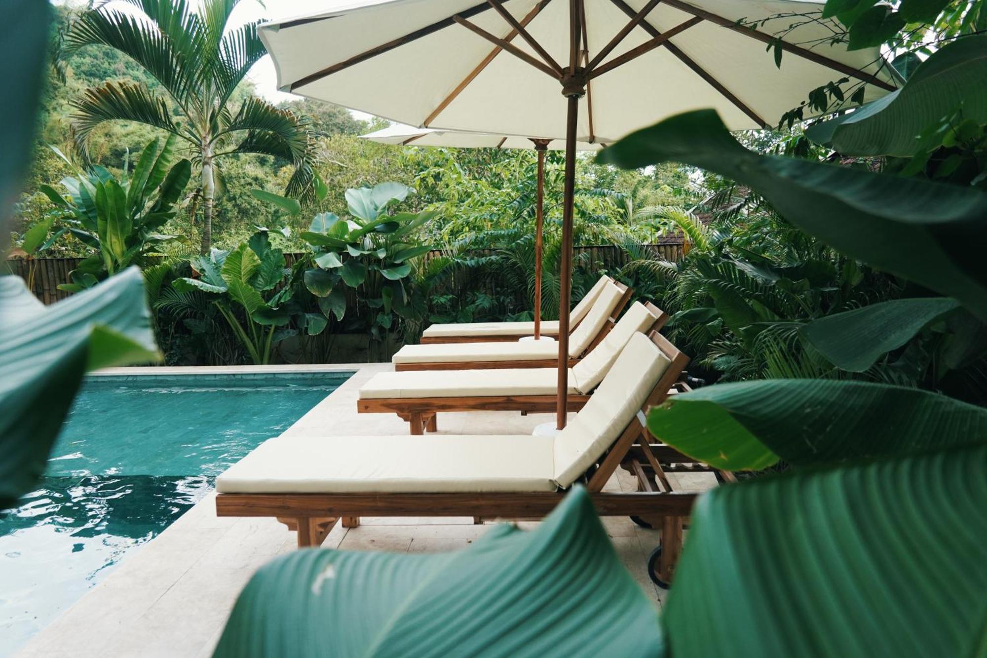 Jungle Bungalows Kuta  エクステリア 写真